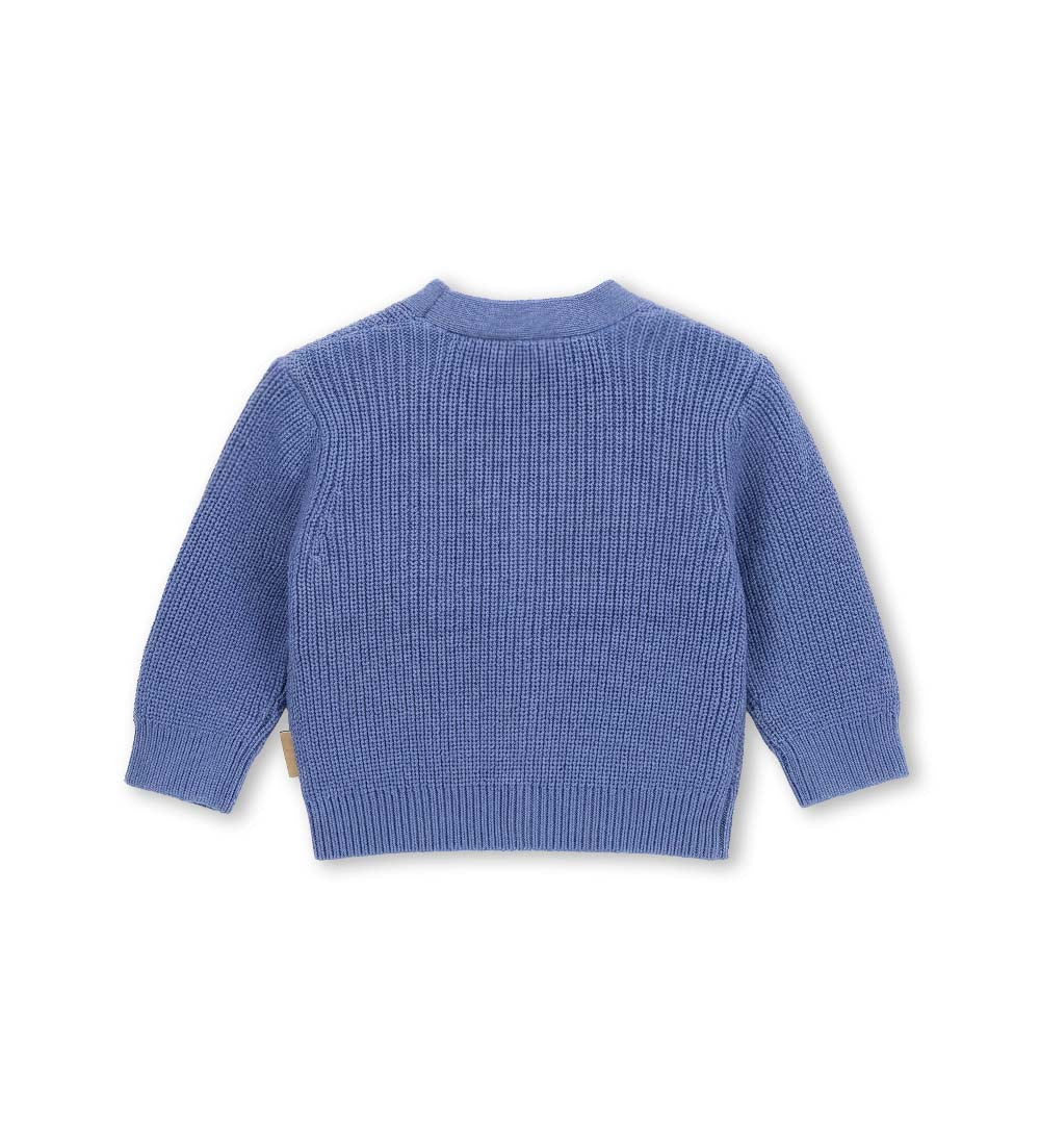 FALL DREAMS CARDIGAN NEWBORN BOY