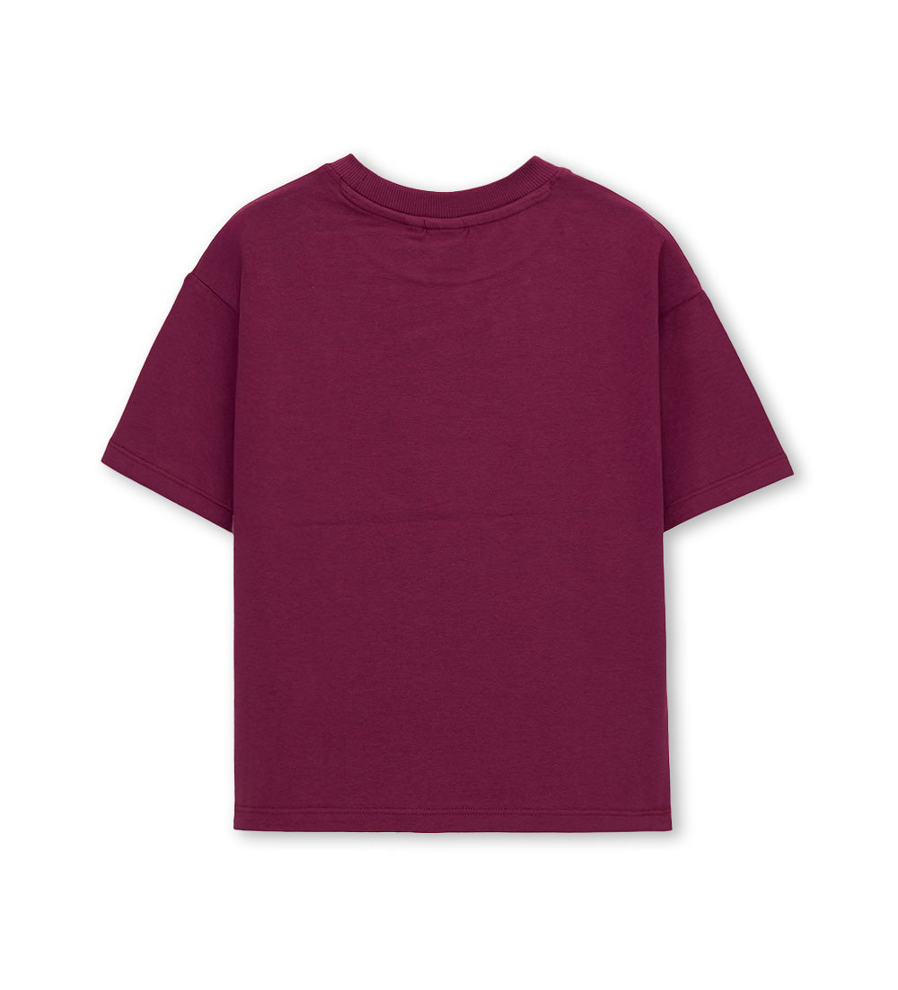 #COLOR_BORDEAUX