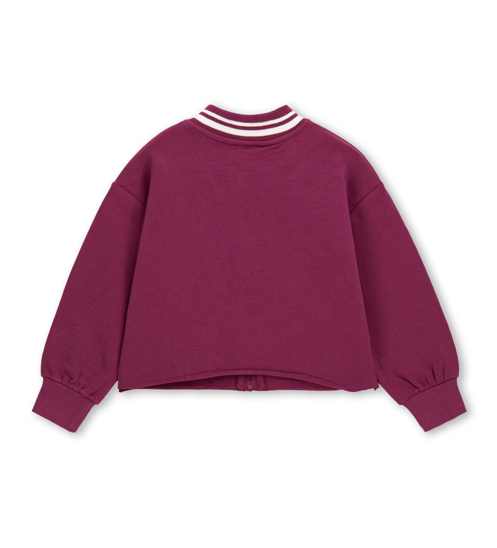 #COLOR_BORDEAUX