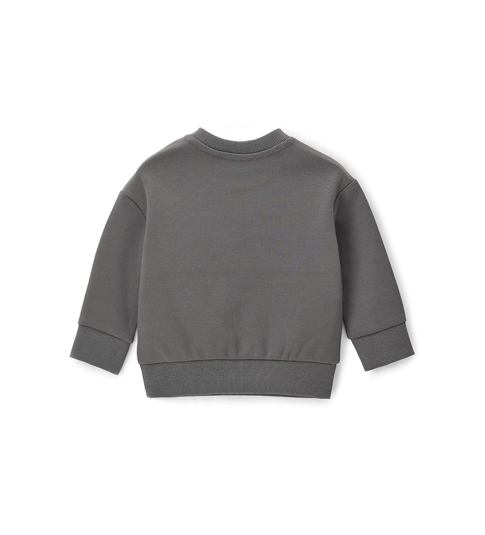 #COLOR_DARK GREY