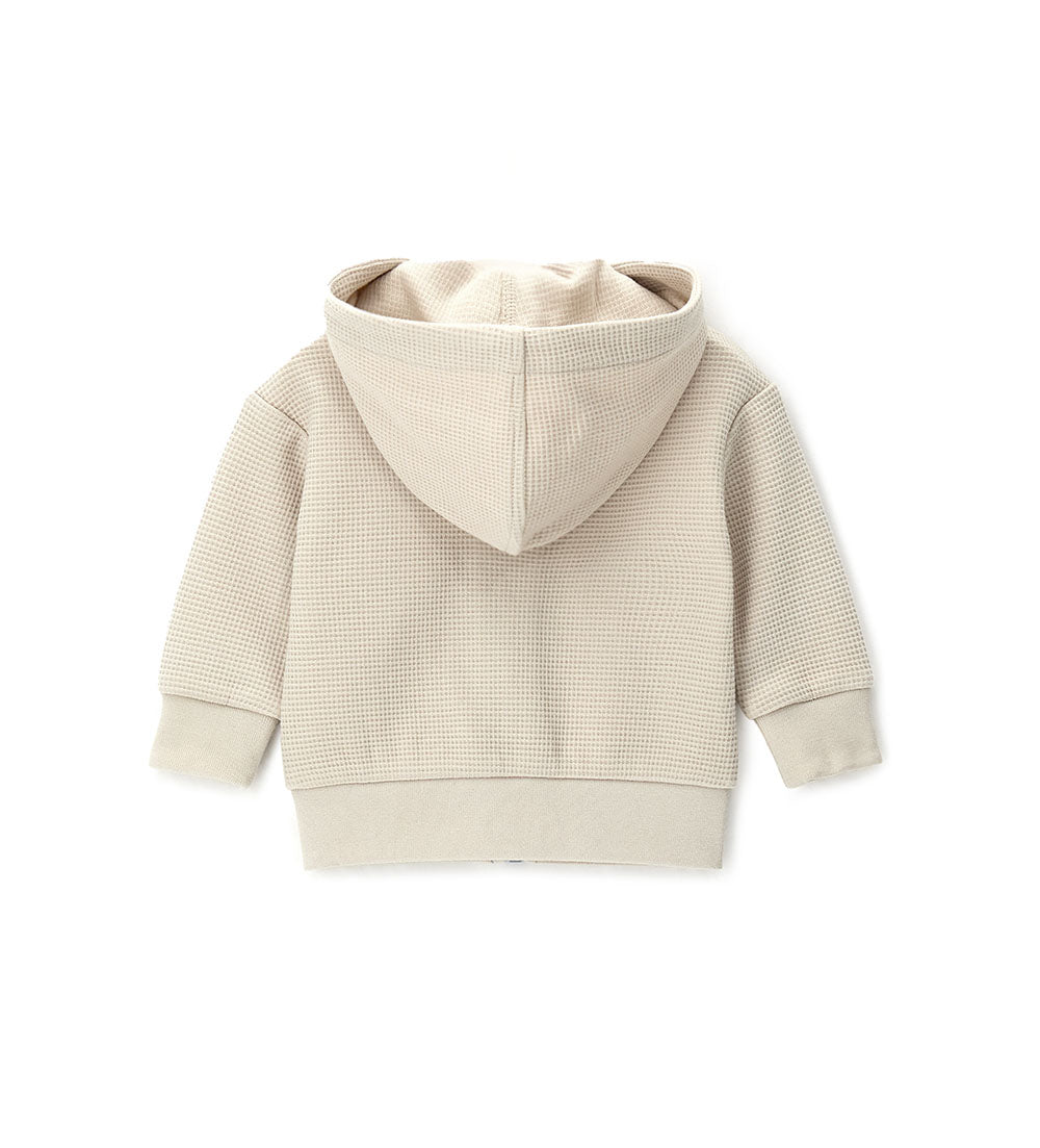 #COLOR_OFF WHITE