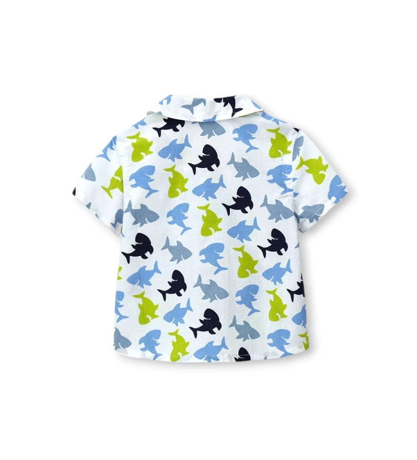 CAPSULE CRUISE Shirt  Baby Boy