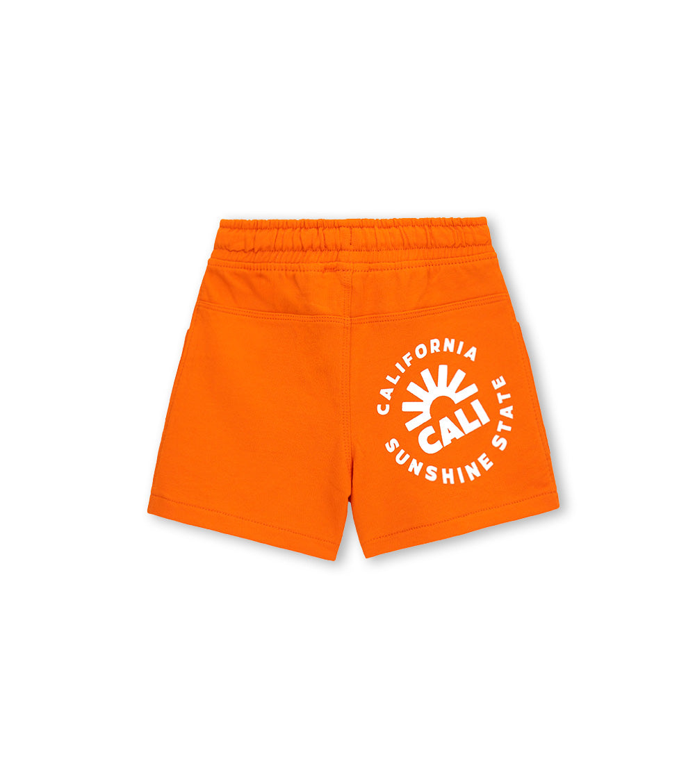#COLOR_ORANGE