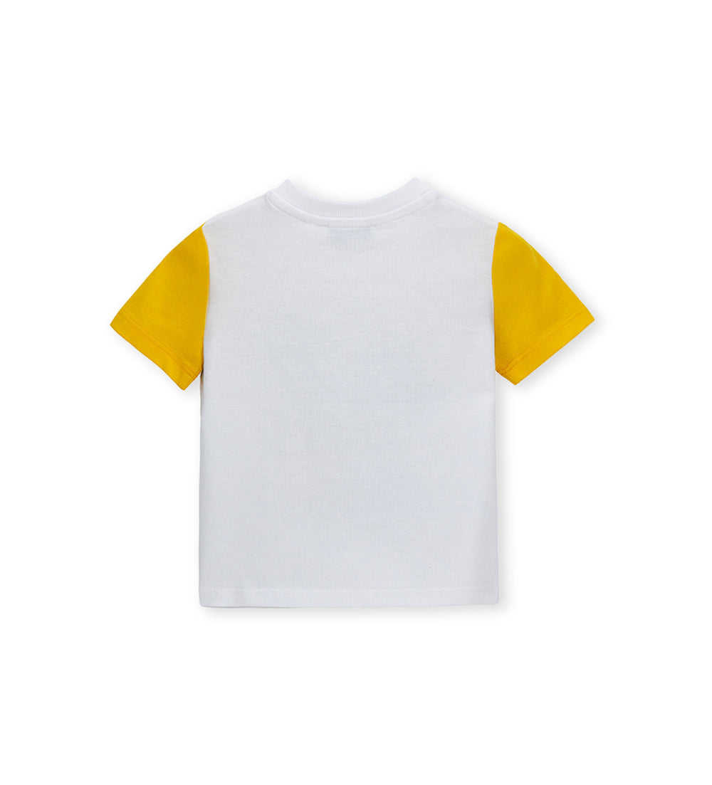 #COLOR_YELLOW