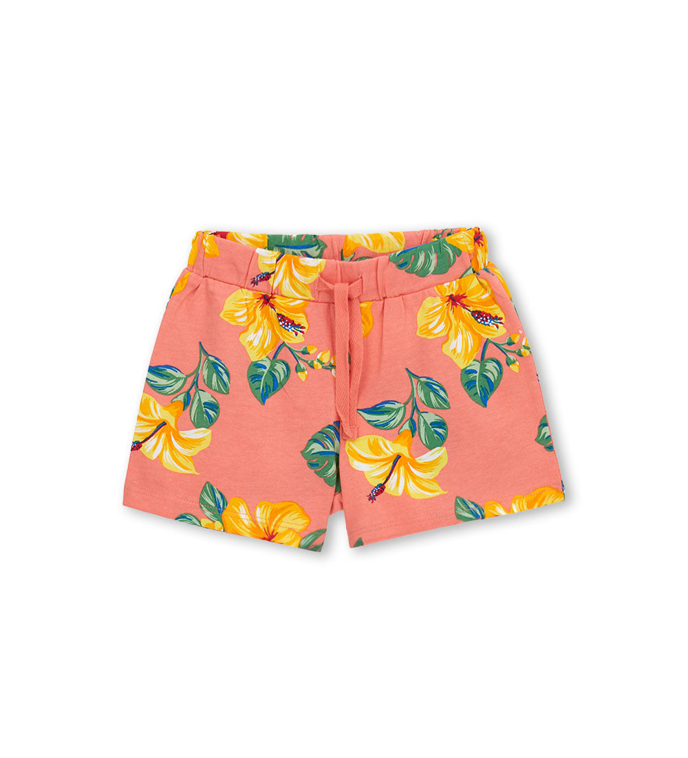 #COLOR_CORAL