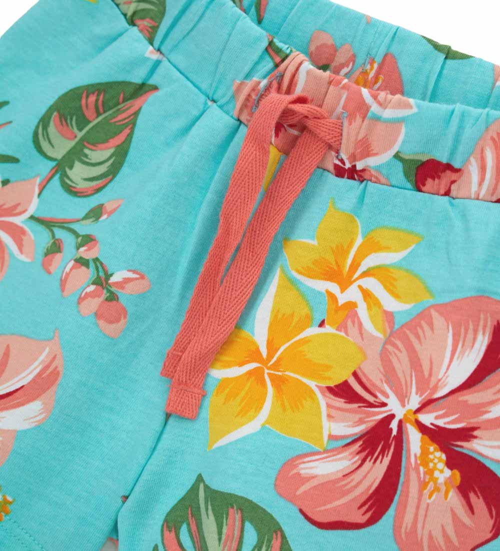 #COLOR_TURQUOISE