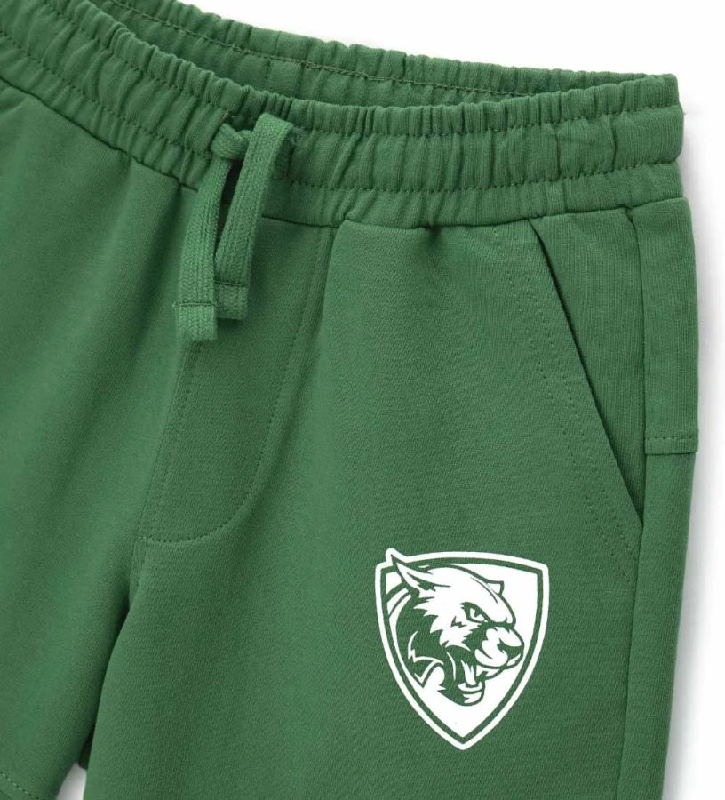 #COLOR_GREEN