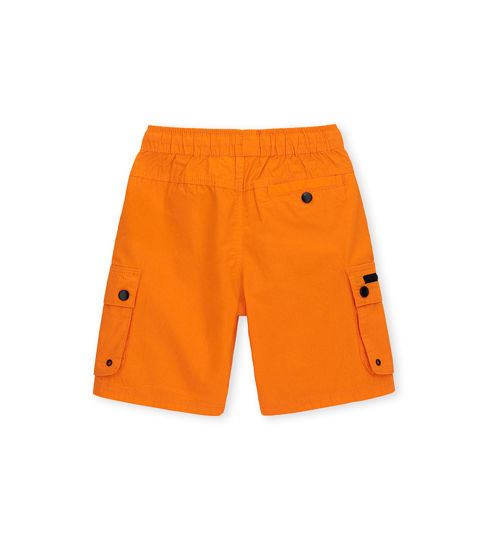 #COLOR_ORANGE