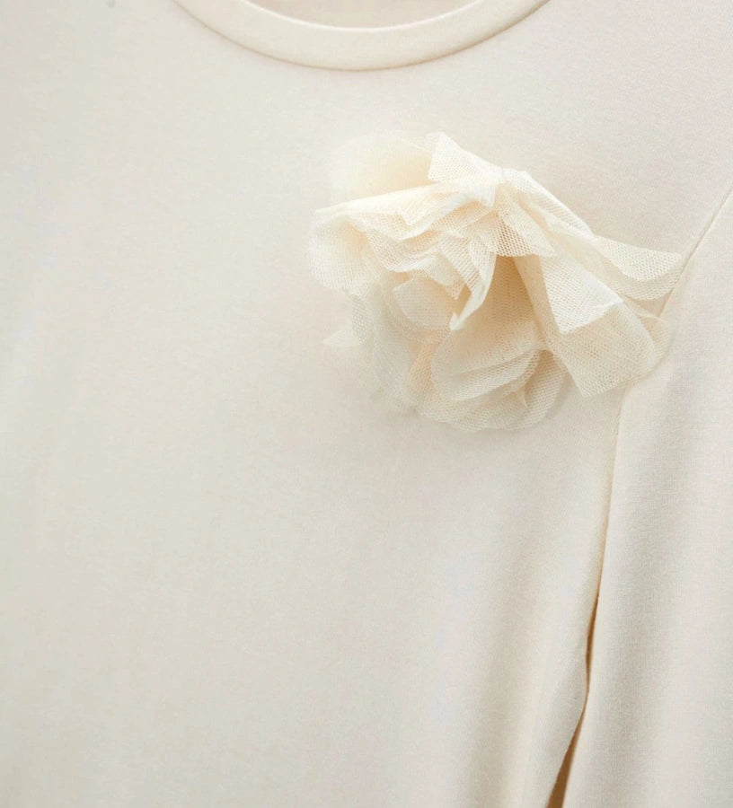#COLOR_OFF WHITE