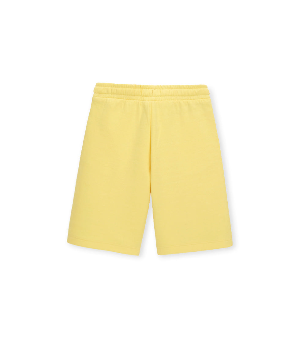 #Color_Yellow