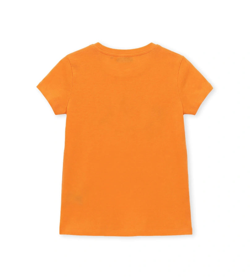 #Color_Orange